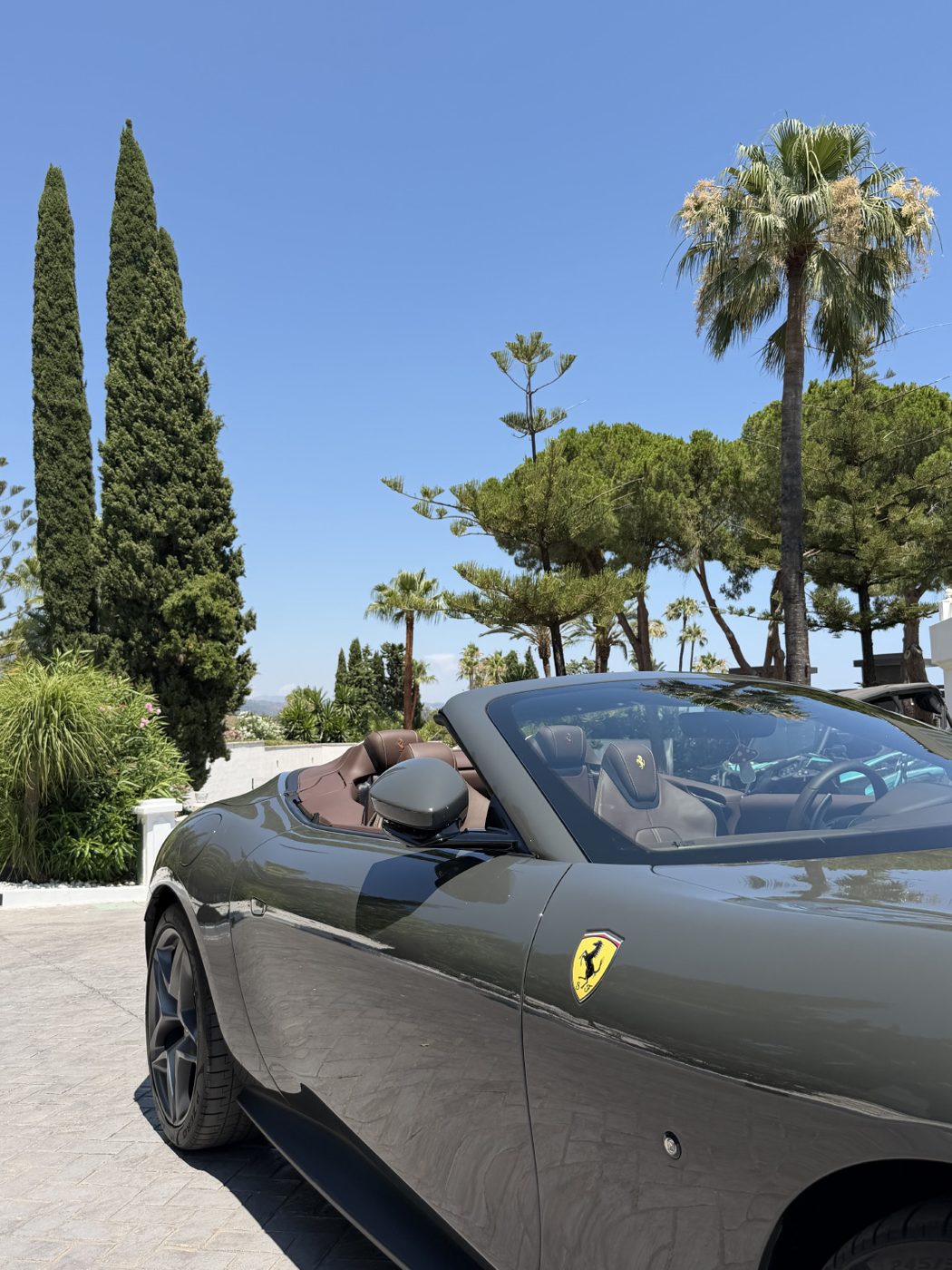 Ferrari convertible under palms